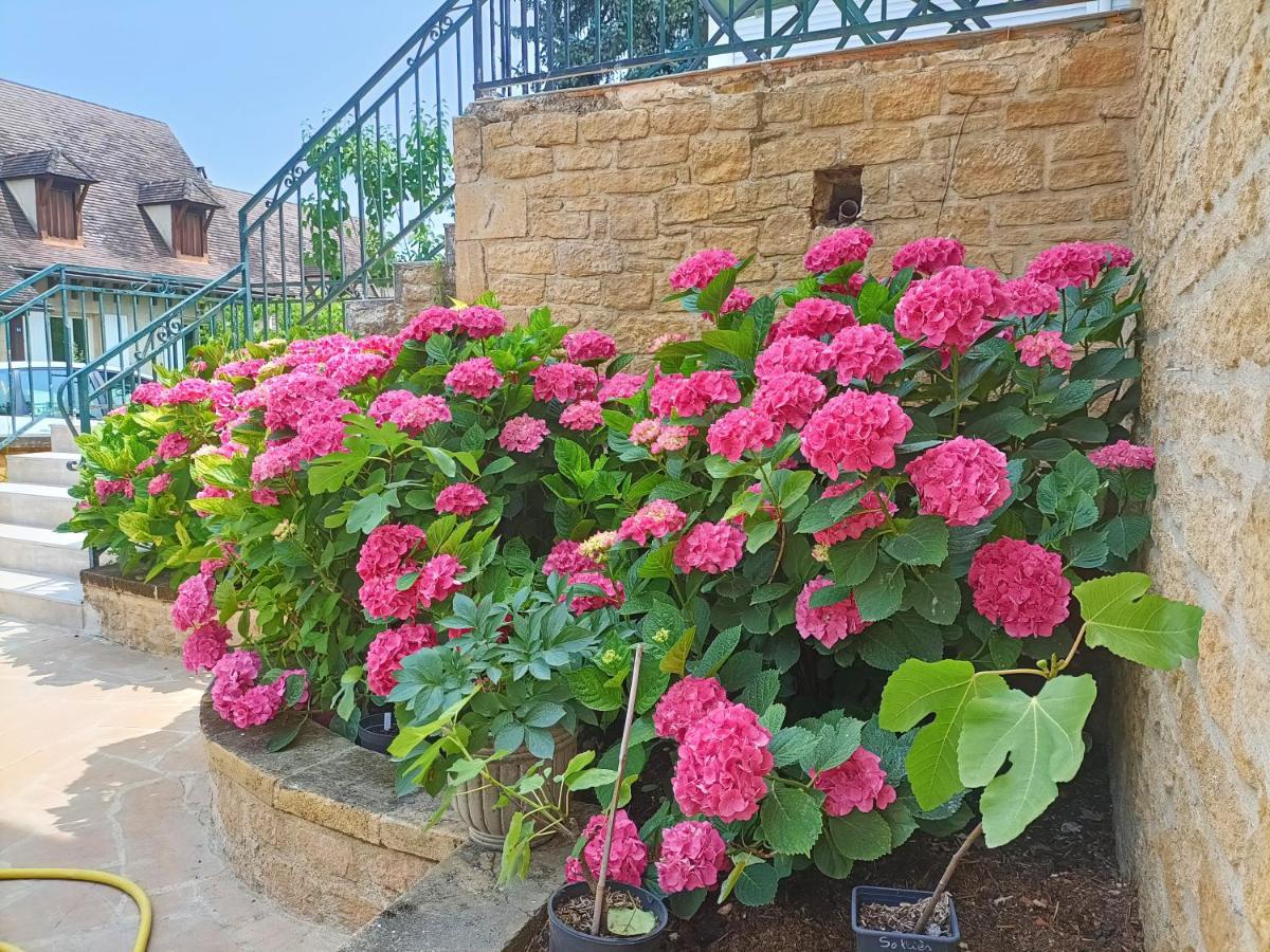 La Villa Perigourdine Sarlat Exterior foto